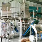 மில்லட் தானியங்கி பேக்கேஜிங் இயந்திரத்தின் இரண்டு அலகுகள் எங்கள் கிளையன்ட் தொழிற்சாலையில் நிறுவல் மற்றும் பிழைத்திருத்தத்தை நிறைவு செய்கின்றன