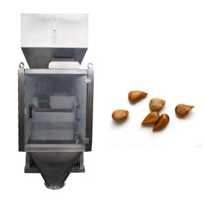 நேரியல் வையக்டர் 2 தலை நேர்கோட்டு அளவு