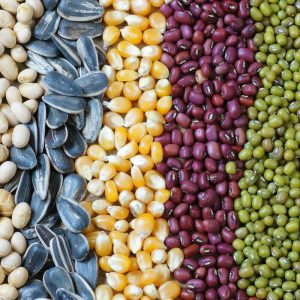 தானியங்கி விதை பேக்கேஜிங் இயந்திரம்